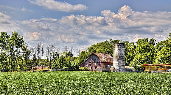 lade, rustik, staldene, ohio, digital kunst, landdistrikterne, naturskøn, Land, landskabet, landskab, skur, skure, gård, gårde, landbrug, landbrugs, stuehus, Champaign, region, americana, Foto, fotografi, struktur, strukturer, sturgell, william sturgell, bill sturgell, historisk, hjem indretning, bygninger, skyer, himmel, træ, træer, overskyet, ukrudt, champaign county, Urbana, arkitektur, bygget struktur, bygning udvendig, plante, bygning, græs, sky - himmel, hus, Mark, jord, grøn farve, natur, landlige scene, miljø, ingen mennesker, udendørs, 5K, CC0, offentligt domæne, royaltyfrie