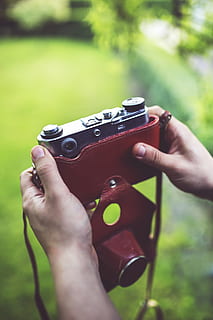 vecchio, Vintage ▾, retrò, telecamera, analogico, alimentato, pelle, fotografia, arte, scattare foto, vecchio stile, elegante, mano umana, mano, una persona, persone reali, detenzione, parte del corpo umano, concentrarsi sulle conoscenze acquisite, giorno, stili di vita, attività di svago, avvicinamento, parte del corpo, pianta, all'aperto, messa a fuoco selettiva, uomini, temi fotografici, natura, erba, dito, Camera digitale, 5K, CC0, dominio pubblico, privo di copyright
