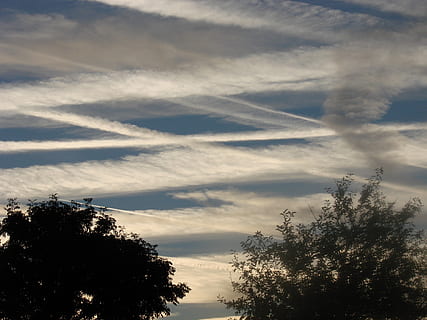 clouds, nature, evening, tree, cloud - sky, plant, sky, beauty in nature, tranquility, tranquil scene, growth, no people, silhouette, scenics - nature, low angle view, sunset, outdoors, day, idyllic, non-urban scene, sunlight, vapor trail, treetop, wispy, 2K, CC0, public domain, royalty free