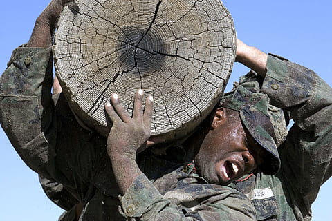 muž, voják uniformu, nesoucí, dřevěné desky, týmová práce, výcvik, log, cvičení, zdatnost, spolupráce, těsnění, námořnictvo, vojenský, vytrvalost, odhodlání, síla, skupina, tým, motivace, muži, skutečných lidí, jedna osoba, den, volnočasové aktivity, nebe, čisté nebe, hospodářství, ozbrojené síly, Příroda, vojenskou uniformu, portrét, voják armády, životního stylu, slunečního světla, maskovací oděv, oblečení, střela do hlavy, jednotný, vláda, 2K, CC0, veřejná doména, bez autorských práv