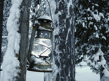 lanterna, luce, lampada, bianca, decorativo, elettrico, illuminazione, illuminato, la neve, Finlandia, Lapponia, raggiante, lampadina, splendore, splendere, luminosa, elettricità, inverno, freddo - temperatura, all'aperto, tempo metereologico, brina, natura, albero, temperatura fredda, pianta, nessuno, giorno, tronco, tronco d'albero, concentrarsi sulle conoscenze acquisite, terra, sospeso, attrezzatura per l'illuminazione, copertura, congelato, avvicinamento, crescita, lampada elettrica, 4K, CC0, dominio pubblico, privo di copyright