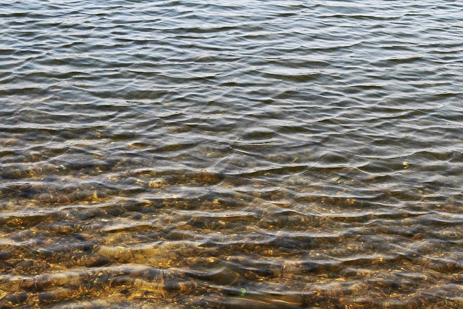Wasserquelle, Frühling, See, Oberfläche, Wasser, Frühling, See, Hintergründe, gewellt, Vollbild, keine Leute, Natur, abstrakt, Meer, High Angle View, Muster, Tag, Wellenmuster, natürliches Muster, Schönheit in der Natur, Ruhe, Tier, draußen, Tierthemen, Tierwelt, Welle, flach, 4K