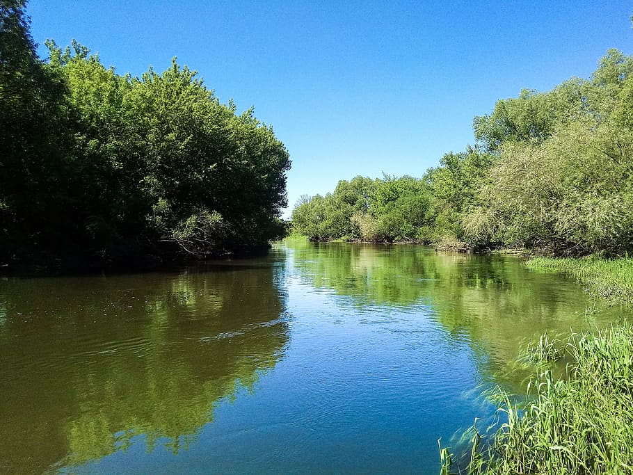 naturalesa, arbre, bosc, verd, blau, bosc, verd, paisatge, parc, herba, reflexió, aigua, escenics, llac, planta, tranquil·litat, bellesa a la natura, escena tranquil·la, cel, escenics - natura, cel clar, creixement, color verd, cap gent, dia, davant del mar, idíl·lic, a l'aire lliure, 4K