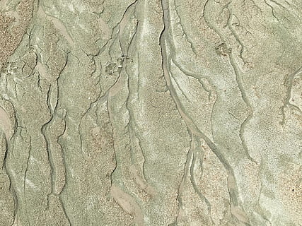 arena, ramas, zarcillos, algas, gran lago Salado, imprimir, modelo, rama, playa, árbol, paisaje, mar, naturaleza, viaje, verano, relajación, isla, costa, natural, apuntalar, al aire libre, día, marrón, salado, arenoso, antecedentes, resumen, texturizado, agrietado, barro, seco, suciedad, fotograma completo, nadie, de cerca, áspero, patrón natural, antiguo, material de madera, pared - característica de la construcción, arquitectura, estructura construida, 4K, CC0, dominio público, libre de derechos