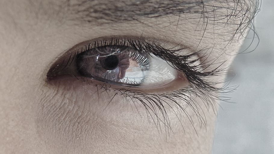 oko, makro, Fotoaparát, sony, lidské oko, detail, oční bulva, lidé, iris - oko, zrak, hledá, ženy, řasa, kavkazského etnika, obočí, jedna osoba, lidská tvář, žen, dospělý, sledování, část lidského těla, část těla, Smyslové vnímání, extrémní detail, lidské kůže, kůže, koukal, rozjímání, oční víčko, krásná žena, 2K