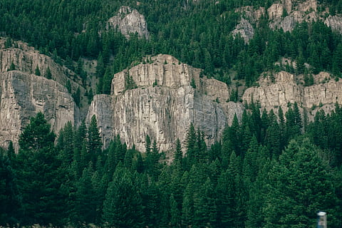 Skov, grå, klippeklipper, rock formation, omgivet, grøn, træer, bjerg, træ, klint, klippe, natur, udendørs, væg, montana, stedsegrønne, grønne, parkere, plante, jord, grøn farve, scenics - natur, fyrretræ, rolig scene, skønhed i naturen, nåletræ, ro, ingen mennesker, ikke-urbane scene, vækst, Pinaceae, fyrreskov, solid, formation, 4K, CC0, offentligt domæne, royaltyfrie