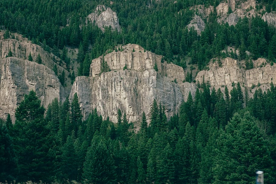 Skov, grå, klippeklipper, rock formation, omgivet, grøn, træer, bjerg, træ, klint, klippe, natur, udendørs, væg, montana, stedsegrønne, grønne, parkere, plante, jord, grøn farve, scenics - natur, fyrretræ, rolig scene, skønhed i naturen, nåletræ, ro, ingen mennesker, ikke-urbane scene, vækst, Pinaceae, fyrreskov, solid, formation, 4K