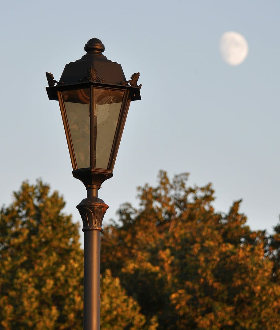 Luna, lanterna, samara, strada, sera, autunno, lampione, all'aperto, albero, nessuno, cielo, attrezzatura per l'illuminazione, natura, Inquadratura dal basso, pianta, cielo sereno, concentrarsi sulle conoscenze acquisite, giorno, modificare, bellezza nella natura, luce a gas, la tranquillità, lampada elettrica, 1080P