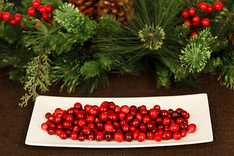 tray, artificial, red, cherries, Christmas, Background, Berry, Cranberry, diet, eating, food, fresh, fruit, health, healthy, juicy, plate, nature, nutrition, xmas, ripe, ruby, freshness, strawberry, healthy eating, food and drink, wellbeing, berry fruit, plant, no people, abundance, holiday, bowl, celebration, day, focus on foreground, 4K, CC0, public domain, royalty free