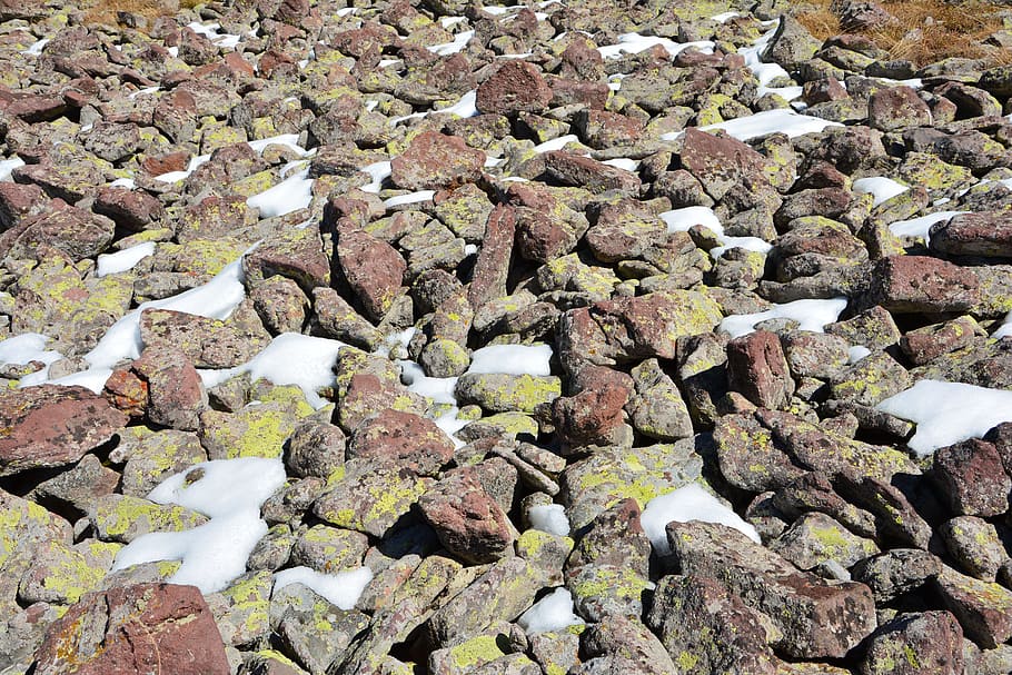 Kennedy, pedra, textura, composició, macro, naturalesa, les pedres són, detall, fons, vell, ambiental, textura de pedra, l'interessant, bonic, endavant, viatjar, fotografia, genial, increïble, textures interessants, liquen, roca de líquens, color, textura del color, gastat, estètica, sarmiento, granit, hard rock, molsa, impressionant, natural, pedres naturals, bellesa natural, neu, sòlid, rock, marc complet, dia, rock - object, cap gent, vista d’angle alt, abundància, aspre, a l'aire lliure, pedra - objecte, gran grup d'objectes, llum solar, terra, bellesa a la natura, tranquil·litat, còdols, erosionat, 5K