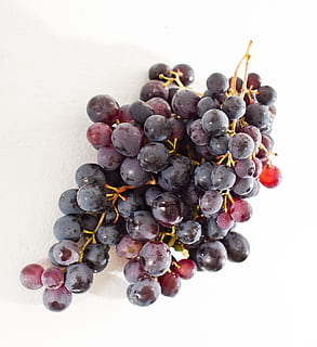 uvas moradas, uva, viticultura, vid, comida, Fondo blanco, comida y bebida, alimentación saludable, bienestar, foto de estudio, adentro, Fruta, frescura, naturaleza muerta, gran grupo de objetos, de cerca, fruta de baya, de color negro, nadie, vista de alto ángulo, manojo, uva roja, arándano, púrpura, maduro, 4K, CC0, dominio público, libre de derechos