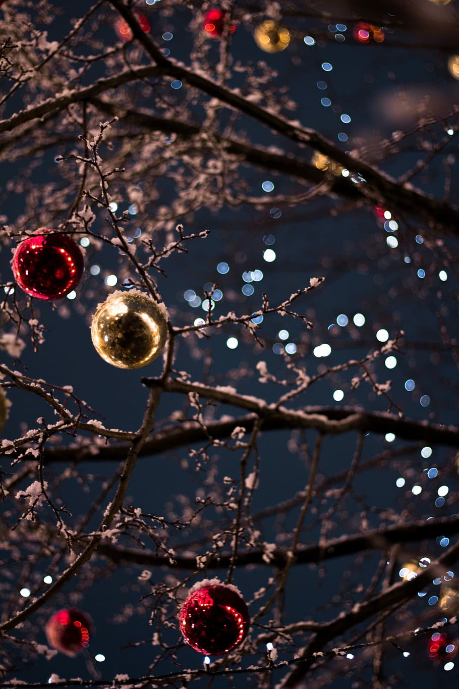 selectiu, focalitzar la fotografia, baubles, vermell, adorns de Nadal de color daurat, arbre, bauble, Nadal, bokeh, llums, decoració de Nadal, decoració, centrar-se en primer pla, cap gent, adorn de Nadal, branca, celebració, arbre de Nadal, festa, primer pla, planta, penjant, llums de Nadal, equips d’il·luminació, il·luminat, naturalesa, a l'aire lliure, 5K
