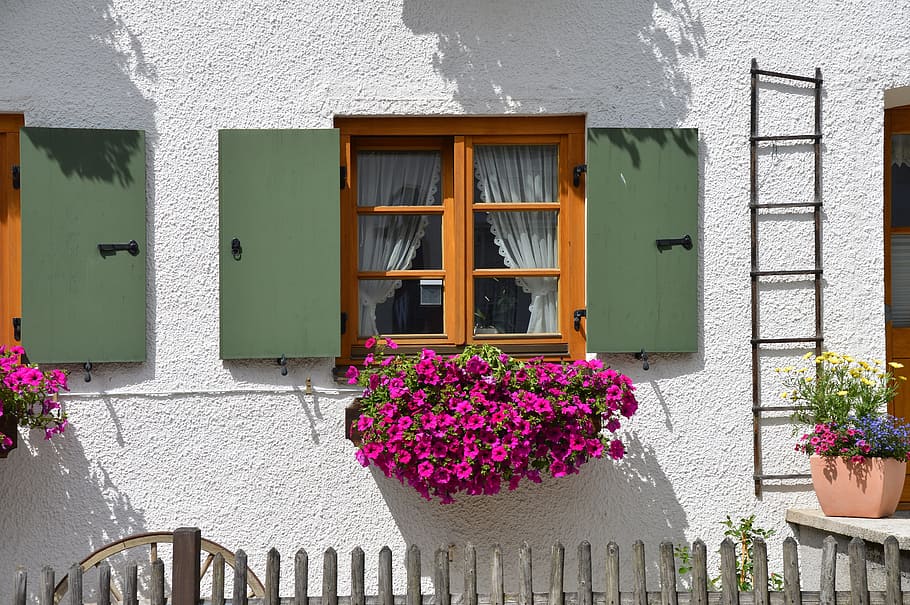 porpra, flors de pètals, penjat, marró, fusta, emmarcat, finestres de portes de vidre, durant el dia, flor, flor de la finestra, finestra, obturador, façana, cap, persianes de fusta, arquitectura, edifici, colorit, paret, rústic, bavarian, allgäu, apartament, planta amb flors, exterior de l'edifici, planta, estructura construïda, naturalesa, dia, casa, cap gent, color rosa, funció de construcció de parets, barri residencial, a l'aire lliure, vidre - material, planta en test, creixement, test de flor, caixa de finestra, marc de finestra, 5K
