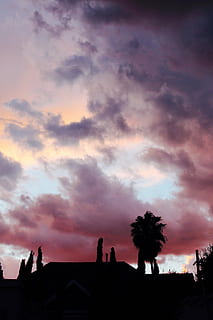 silhouette, alberi, nuvoloso, cielo, giorno, rosso, bianca, viola, nuvole, tramonto, Casa, nuvola - cielo, struttura costruita, esterno dell'edificio, architettura, storia, cittadina, nessuno, costruzione, natura, albero, bellezza nella natura, scenics - natura, pianta, cielo drammatico, all'aperto, Inquadratura dal basso, crepuscolo, colore arancione, 1080P, CC0, dominio pubblico, privo di copyright