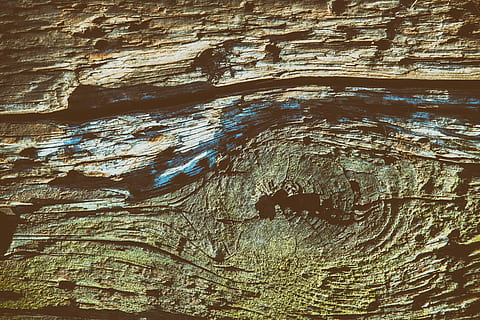 close, texture shot, old, wood details, image, captured, canon 5, 5d, Close up, texture, shot, old wood, details, Cornwall, England, Canon 5D, DSLR, textures, wood, backgrounds, nature, wood - Material, abstract, pattern, textured, close-up, no People, material, rough, brown, wood grain, full frame, tree trunk, bark, trunk, tree, day, natural pattern, plant bark, plant, outdoors, textured effect, 4K