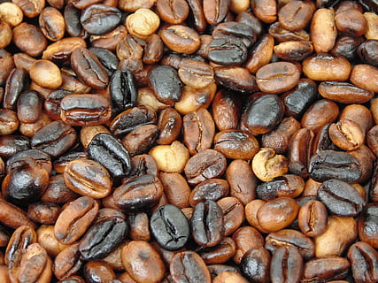 mongetes, gra de cafè, cafè, grans de cafè, torrat, rostit, menjar i beguda, abundància, cap gent, marc complet, gran grup d'objectes, primer pla, fons, menjar, frescor, marró, natura morta, elecció, variació, benestar, cafè - beguda, a l'interior, alimentació saludable, vista d’angle alt, dia, berenar, 5K, CC0, domini públic, lliure de regalies