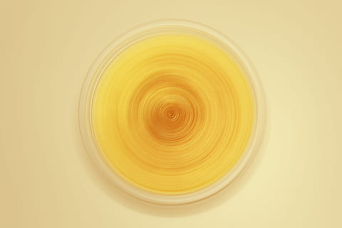 vortice, turbine, Immagine, giallo, cerchio, sfondo giallo, astratto, sfondi, far cadere, forma geometrica, forma, nessuno, Filatura, avvicinamento, in casa, movimento, direttamente sopra, fotogramma intero, girato in studio, sfondo colorato, colore arancione, modello, movimento sfocato, design, concentrico, 4K, CC0, dominio pubblico, privo di copyright
