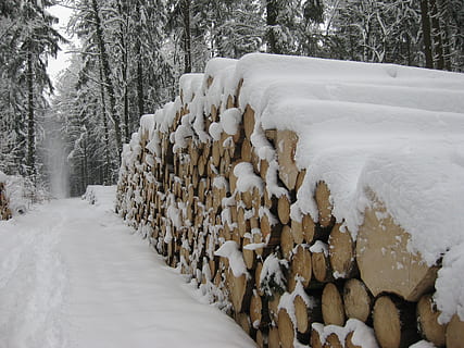 Schnee, Holz, Baumstämme, winterlich, schneebedeckt, Winter, kalte Temperatur, Baum, weiße Farbe, Abdeckung, Natur, Pflanze, gefroren, Tag, Schönheit in der Natur, Ruhe, Land, ruhige Szene, keine Leute, Szenen - Natur, extremes Wetter, der Weg nach vorn, Wald, draußen, 2K, CC0, gemeinfrei, lizenzfrei