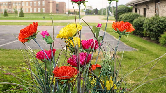 sorterade blommor, fönster, gård, blommor, blommande växt, blomma, växt, bräcklighet, sårbarhet, skönhet i naturen, natur, friskhet, tillväxt, kronblad, närbild, fokusera på förgrunden, blomställning, blomhuvud, arkitektur, dag, gräs, fält, inget folk, gul, utomhus, springtime, rabatt, 1080P, CC0, offentligt domän, royaltyfria