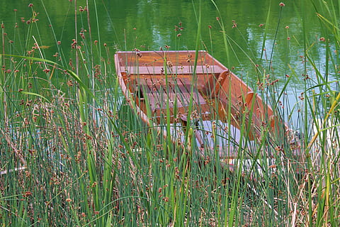 encallat, crear, fer pausa, arrencada, aigua, herba, naturalesa, a l'aire lliure, planta, creixement, vaixell nàutic, llac, cap gent, dia, color verd, tranquil·litat, abandonat, transport, bellesa a la natura, terra, escena tranquil·la, manera de transport, camp, barca de rems, 5K, CC0, domini públic, lliure de regalies