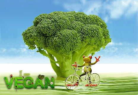 green, frog, bike, digital, wallpaper, vegan, appetite, broccoli, funny, cute, calories, gastronomy, colorful, cook, kitchen, culinary, delicious, diet, dinner, fiber, fitness, food, frisch, fruit, garnish, gut, bless you, healthy, ingredients, isolated, leaf, loss, lunch, natural, nourishing, nutrition, bio, picked up, products, raw, slim, remove, snack, stalk, supermarket, vegetables, weight, white, eat, vitamins, vegetable, dieting, freshness, healthy Eating, healthy Lifestyle, organic, nature, green color, sky, cloud - sky, wellbeing, food and drink, transportation, plant, bicycle, tree, day, no people, outdoors, digital composite, 1080P, CC0, public domain, royalty free