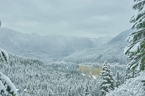 la neve, coperto, fotografia forestale, montagna di neve, inverno, montagna, paesaggio, albero, scenics - natura, bellezza nella natura, temperatura fredda, pianta, la tranquillità, scena tranquilla, catena montuosa, scena non urbana, natura, ambiente, cielo, giorno, nessuno, nuvola - cielo, all'aperto, montagna innevata, formazione, 5K, CC0, dominio pubblico, privo di copyright