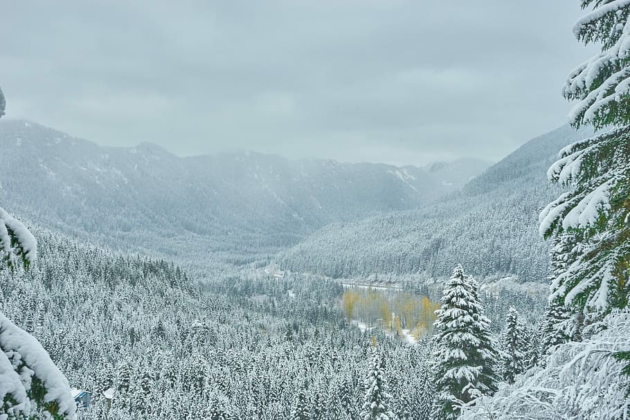 la neve, coperto, fotografia forestale, montagna di neve, inverno, montagna, paesaggio, albero, scenics - natura, bellezza nella natura, temperatura fredda, pianta, la tranquillità, scena tranquilla, catena montuosa, scena non urbana, natura, ambiente, cielo, giorno, nessuno, nuvola - cielo, all'aperto, montagna innevata, formazione, 5K