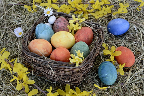 påskeegg, kurv, påske nest, rede, fargerik, påske, dekorasjon, god påske, påske dekorasjon, farge, påske tema, søt, nydelig, munter, farget, kokte egg, kokt, hartgekocht, eggformet, påske feiring, oval, maling, vakker, spise, egg, høy vinkel visning, dyrefest, mat, anlegg, ingen folk, natur, mat og Drikke, dag, fuglerede, fugl, utendørs, plante del, blad, sårbarhet, nærbilde, skjørhet, gress, begynnelse, friskhet, 5K, CC0, offentlig domene, opphavsrett gratis