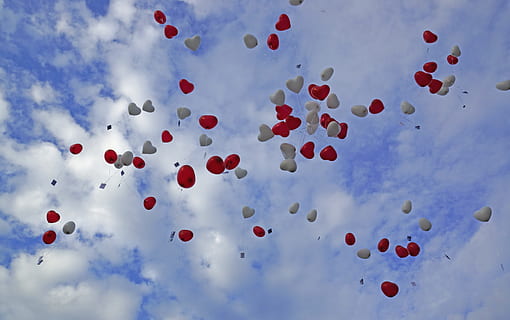 nozze, Palloncino, celebrazione, cielo, palloncini rossi, blu, rosso, cielo blu, volare, palloncini, nessuno, giorno, fotogramma intero, sfondi, all'aperto, grande gruppo di oggetti, mezz'aria, Inquadratura dal basso, volante, nuvola - cielo, natura, la libertà, multicolore, abbondanza, scelta, variazione, luce del sole, amore, festa in mongolfiera, 5K, CC0, dominio pubblico, privo di copyright