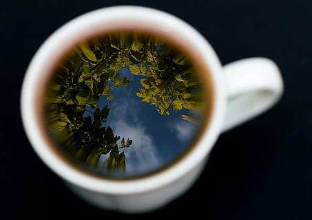 weiße Keramik Tasse, Becher, Tasse, Teetasse, Tee, Reflexion, Himmel, Wald, Makro, Nahansicht, Natur, heisses Getränk, Tee - heißes Getränk, schwarzer Hintergrund, Getränk, Studioaufnahme, Erfrischung, drinnen, grüner Tee, Essen und Trinken, keine Leute, Teeblätter, Gesundheitswesen und Medizin, Lebensmittel, Chinesischer Tee, 5K, CC0, gemeinfrei, lizenzfrei