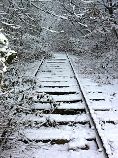 spoor, winter, trein, scheen, overwoekerd, spoorweg, einde, sneeuw, koude temperatuur, de weg vooruit, boom, geen mensen, richting, fabriek, aan het bedekken, natuur, witte kleur, dag, land-, buitenshuis, architectuur, kalmte, Bos, schoonheid in de natuur, voetpad, 2K, CC0, publiek domein, royaltyvrij