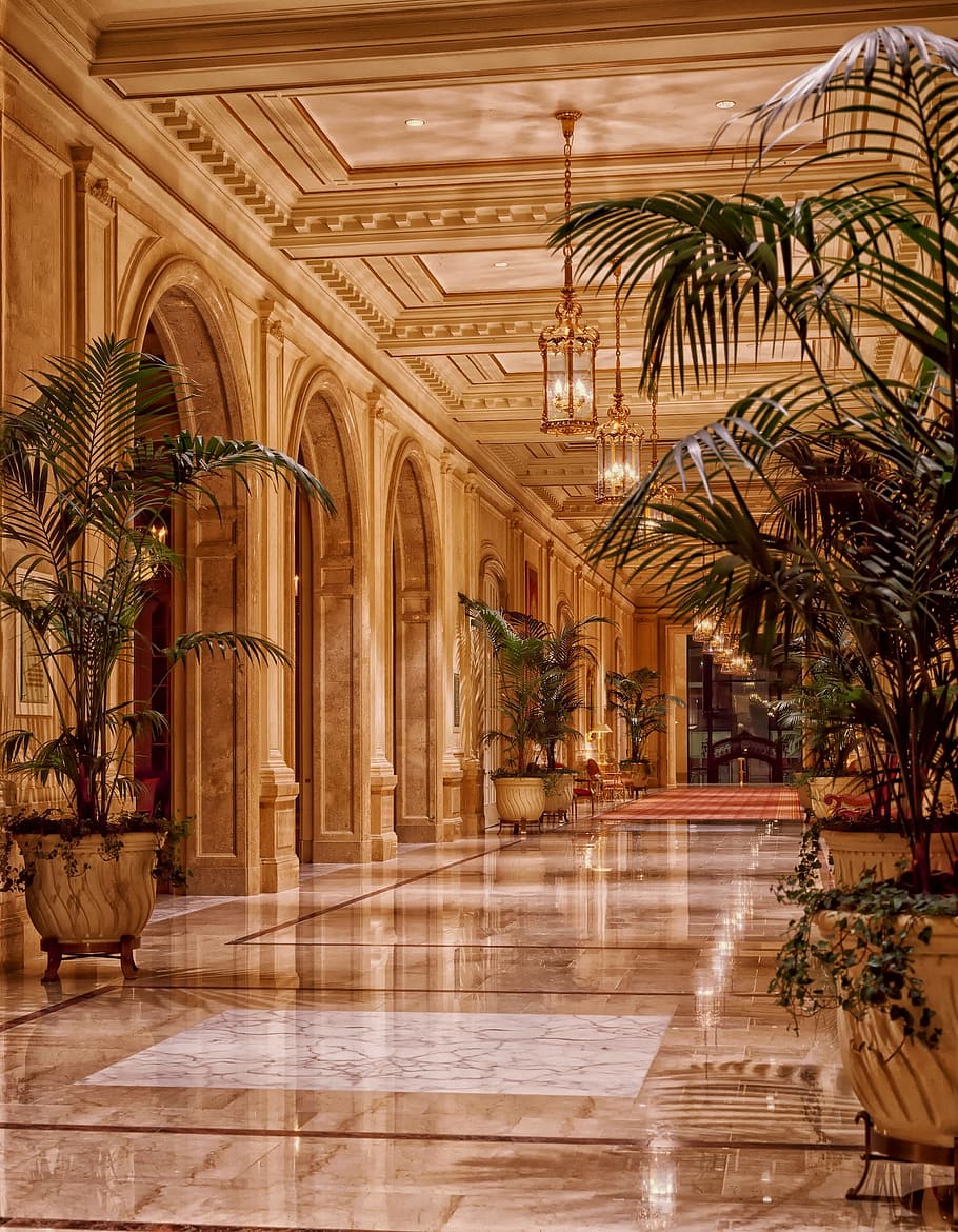 luces, arquitectura, plantas, iluminación, sala, pasillo, diseño de interiores, vestíbulo, estructura construida, clima tropical, arco, edificio, exterior del edificio, palmera, lujo, destinos de viaje, columna arquitectonica, reflexión, piso, el pasado, historia, riqueza, árbol, techo, nadie, planta, florido, al aire libre, suelo de baldosas, 1080P
