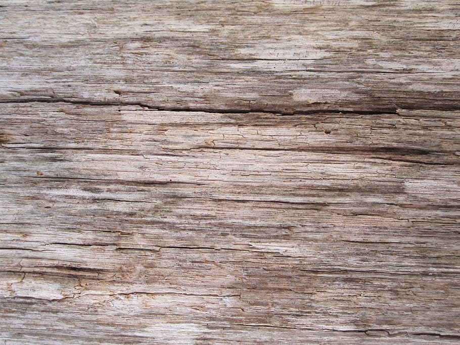 sense títol, fusta, superfície, textura, vell, sec, resistent, natural, tauler, material, patró, panell, aspre, fons, material de fusta, marc complet, gra de fusta, marró, cap gent, primer pla, fusta dura, sòls, còpia espai, a l'aire lliure, patró natural, brut, resum, efecte texturat, nivell superficial, en blanc, 4K