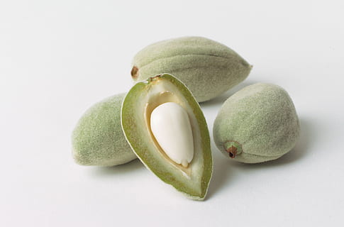 teanc, patru, alungit, verde, fructe, migdale, pleavă, nuca, sămânță, alimente, brut, friptură, gustare, sănătos, ingredient, macro, coajă, nucleu, comestibil, fruct, prospeţime, a închide, organic, natură, studio shot, mancare si bautura, fundal alb, mâncat sănătos, bunăstare, Culoarea verde, în interior, nici o persoana, elimina, grup de obiecte, natură moartă, secțiune transversală, avocado, vegetal, felie, copt, grup mic de obiecte, 2K, CC0, domeniu public, fără drepturi de autor