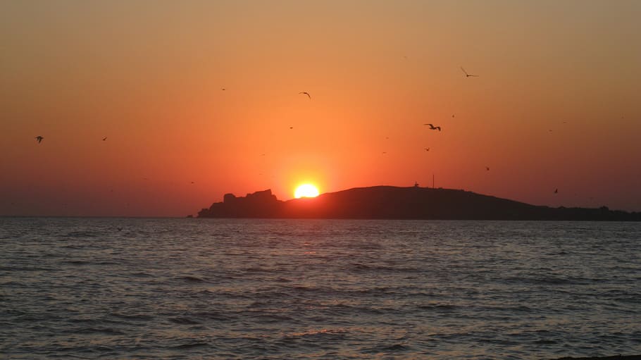 rød, solnedgang, sol, rød solnedgang, himmel, solen, solen bag skyen, landskab, strand, hav, vand, rejse, sommer, Kerch, hav af azov, scenics, silhuet, skønhed i naturen, scenics - natur, ro, orange farve, rolig scene, dyr, dyre temaer, natur, idyllisk, fugl, miljø, hvirveldyr, ingen mennesker, udendørs, horisont over vand, 4K