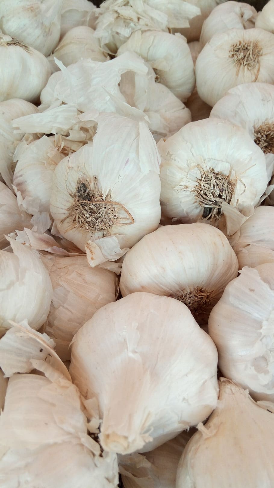 All, espècies, vegetals, vegetarià, vegà, menjar, verdures, menjar i beguda, bulb d’all, alimentació saludable, benestar, frescor, ingredient, natura morta, aliments crus, fons, marc complet, cap gent, Color blanc, espècia, primer pla, gran grup d'objectes, a l'interior, ceba, 4K