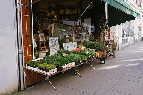 blomsterbutik, Andet, gade, butik, marked, urban scene, udendørs, detail, stor gruppe af objekter, supermarked, valg, arkitektur, bygning udvendig, dag, bygget struktur, plante, potteplante, forretning, sti, til salg, ingen mennesker, variation, arrangement, by, lille virksomhed, detailvisning, brosten, 4K, CC0, offentligt domæne, royaltyfrie