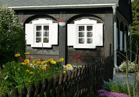 vacation, upper lusatia, vice binding, plant, flower, flowering plant, building exterior, architecture, built structure, window, growth, day, no people, building, nature, freshness, beauty in nature, fragility, vulnerability, outdoors, glass - material, residential district, yellow, 2K, CC0, public domain, royalty free