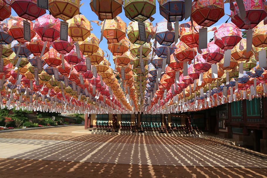 Llanterna japonesa de color variat, penjat, carrer, daty, llanterna, secció, temple, temples tradicionals, República de Corea, gènesi, equips d’il·luminació, llanterna xinesa, arquitectura, decoració, gran grup d'objectes, penjant, celebració, religió, multicolor, estructura construïda, creença, esdeveniment, abundància, cap gent, festival de llums xineses, en fila, any nou xinès, Festival, llanterna de paper, 5K