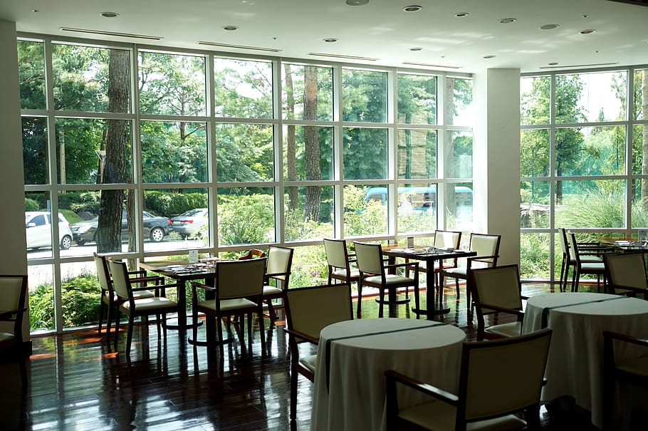 vuoto, tavoli, sedie, ristorante, terrazza, verde, finestra, tabitha, luce del sole, tapi rouge, giardino, tavolo, sedia, mobilia, posto a sedere, in casa, giorno, nessuno, assenza, vetro - materiale, pianta, stanza domestica, architettura, albero, trasparente, natura, pavimentazione, soffitto, lusso, 2K