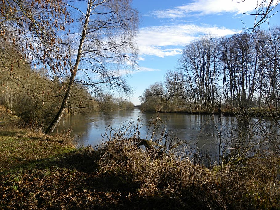 Dunaj, rottenacker, řeka, voda, nebe, rostlina, klid, strom, klidné scény, scenics - příroda, jezero, krása v přírodě, Příroda, mimoměstské scény, mrak - nebe, nikdo, den, tráva, idylický, růst, břeh jezera, přistát, venku, 4K