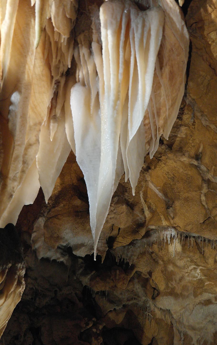 cova, estalactita, espeleologia, subterrani, cap gent, a l'interior, naturalesa, primer pla, menjar, frescor, menjar i beguda, paper, dia, bellesa a la natura, vista d’angle alt, Color blanc, rock, textura, natura morta, rock - object, fragilitat, patró natural, sòlid, 4K