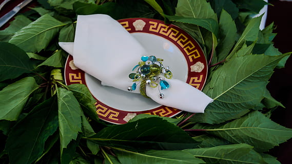 östliche Partei, Gericht, Muster, Ring, Serviette, Blatt, Pflanzenteil, grüne Farbe, Pflanze, Natur, High Angle View, Nahansicht, keine Leute, Tag, Wachstum, Darstellung, draußen, Text, Spiritualität, Kreativität, Religion, westliche Schrift, weiße Farbe, Glauben, Essen und Trinken, 5K, CC0, gemeinfrei, lizenzfrei