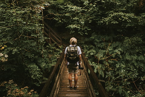 photographer, boardwalk, man, standing, wooden, bridge, front, green, leaf plants, alone, forest, explore, nature, path, hike, backpack, travel, rain, wet, gloom, camera, bag, natural, tree, one person, plant, leisure activity, full length, real people, lifestyles, land, growth, day, women, casual clothing, green color, connection, front view, young adult, bridge - man made structure, footbridge, outdoors, 5K, CC0, public domain, royalty free