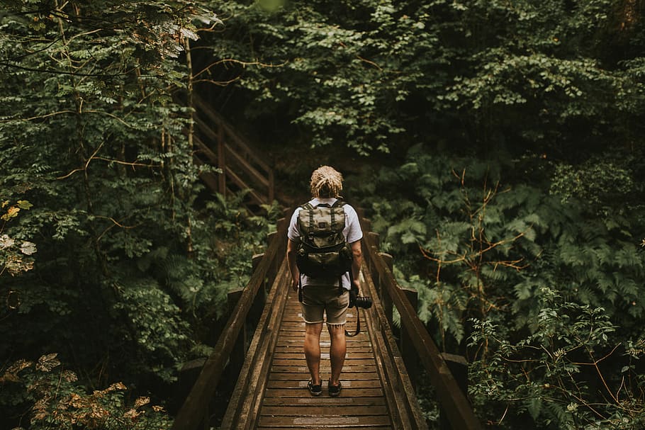 photographer, boardwalk, man, standing, wooden, bridge, front, green, leaf plants, alone, forest, explore, nature, path, hike, backpack, travel, rain, wet, gloom, camera, bag, natural, tree, one person, plant, leisure activity, full length, real people, lifestyles, land, growth, day, women, casual clothing, green color, connection, front view, young adult, bridge - man made structure, footbridge, outdoors, 5K