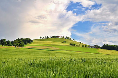 natura, paesaggio, segnalati, i campi, primavera, agriturismo, collina, nuvole, campo, terra, pianta, erba, colore verde, ambiente, scena rurale, scenics - natura, cielo, agricoltura, scena tranquilla, nuvola - cielo, bellezza nella natura, la tranquillità, pianta di cereali, raccolto, albero, azienda agricola, nessuno, all'aperto, paesaggio ondulato, 4K, CC0, dominio pubblico, privo di copyright