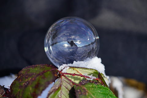 Seifenblase, Winter, Ball, winterlich, kalt, gefroren, Frost, Reflexion, Kristallkugel, Nahansicht, keine Leute, Zerbrechlichkeit, Natur, draußen, Tag, Planet Erde, Fokus auf den Vordergrund, Verletzlichkeit, Kugel, selektiver Fokus, Pflanze, Schnee, kalte Temperatur, Blase, Pflanzenteil, Blatt, Schönheit in der Natur, 8K, CC0, gemeinfrei, lizenzfrei