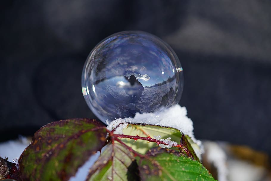 Seifenblase, Winter, Ball, winterlich, kalt, gefroren, Frost, Reflexion, Kristallkugel, Nahansicht, keine Leute, Zerbrechlichkeit, Natur, draußen, Tag, Planet Erde, Fokus auf den Vordergrund, Verletzlichkeit, Kugel, selektiver Fokus, Pflanze, Schnee, kalte Temperatur, Blase, Pflanzenteil, Blatt, Schönheit in der Natur, 8K
