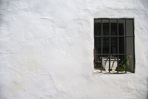 Grün, Kunststoffkomponente, Sonne, Wand, Licht, Weiß, cal, Süden, Menschen, Stille, Fenster, die Architektur, Gebäudehülle, gebaute Struktur, Wandbau - Funktion, Gebäude, Tag, keine Leute, draußen, Wohngegend, Sonnenlicht, weiße Farbe, Haus, Glas - Material, Natur, Muster, texturiert, grau, Flachwinkelansicht, Fensterrahmen, 4K, CC0, gemeinfrei, lizenzfrei
