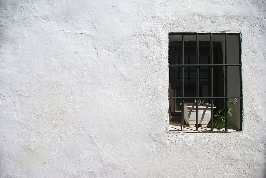 verd, component plàstic, sol, paret, llum, blanc, cal, al sud, gent, silenci, finestra, arquitectura, exterior de l'edifici, estructura construïda, funció de construcció de parets, edifici, dia, cap gent, a l'aire lliure, barri residencial, llum solar, Color blanc, casa, vidre - material, naturalesa, patró, textura, gris, vista d’angle baix, marc de finestra, 4K